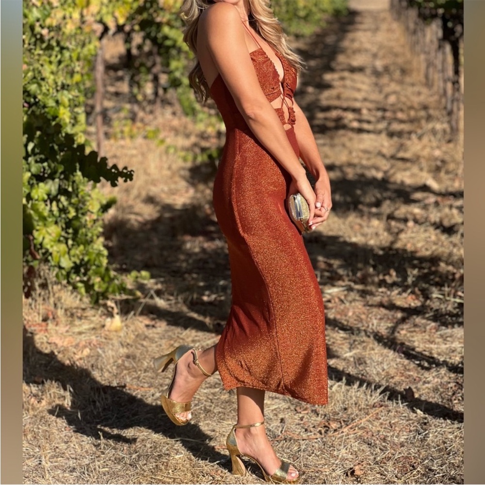 Misha Merissa Dress in Golden Spice - Picture 3 of 3